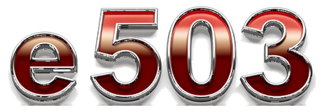 e 503 logo